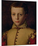 Portrait of Ferdinando de' Medici by Agnolo di Cosimo Bronzino