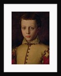 Portrait of Ferdinando de' Medici by Agnolo di Cosimo Bronzino