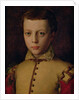 Portrait of Ferdinando de' Medici by Agnolo di Cosimo Bronzino