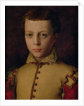 Portrait of Ferdinando de' Medici by Agnolo di Cosimo Bronzino