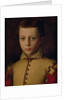 Portrait of Ferdinando de' Medici by Agnolo di Cosimo Bronzino