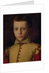 Portrait of Ferdinando de' Medici by Agnolo di Cosimo Bronzino