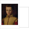 Portrait of Ferdinando de' Medici by Agnolo di Cosimo Bronzino