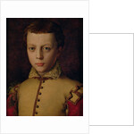 Portrait of Ferdinando de' Medici by Agnolo di Cosimo Bronzino