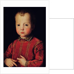 Portrait of Don Garcia by Agnolo di Cosimo Bronzino