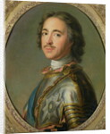 Portrait of Peter the Great by French School