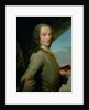 Portrait of François-Marie Arouet aka Voltaire, 18th century by French School