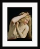 Young Woman Combing Her Hair by Salomon de Bray