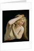 Young Woman Combing Her Hair by Salomon de Bray
