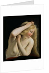 Young Woman Combing Her Hair by Salomon de Bray
