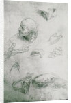 Studies for the Figure of Bramante by Raphael