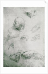 Studies for the Figure of Bramante by Raphael