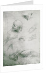 Studies for the Figure of Bramante by Raphael