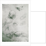 Studies for the Figure of Bramante by Raphael