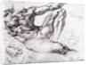 Study for the Creation of Adam by Michelangelo Buonarroti