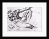 Study for the Creation of Adam by Michelangelo Buonarroti