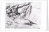 Study for the Creation of Adam by Michelangelo Buonarroti