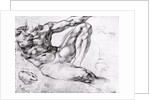 Study for the Creation of Adam by Michelangelo Buonarroti