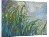 The Yellow Iris by Claude Monet