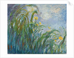 The Yellow Iris by Claude Monet