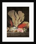 Seaweed, Lithophytes and Seashells by Anne Vallayer-Coster