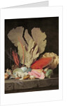 Seaweed, Lithophytes and Seashells by Anne Vallayer-Coster
