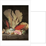 Seaweed, Lithophytes and Seashells by Anne Vallayer-Coster