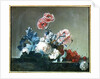Flower Study by Jean Jacques Bachelier