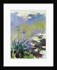 The Agapanthus, 1914-17 by Claude Monet