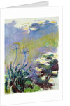 The Agapanthus, 1914-17 by Claude Monet
