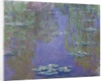 Waterlilies, 1903 by Claude Monet