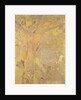 Yellow Tree, 1900-01 by Odilon Redon