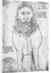 Ms Fr 19093 fol.24v Lion and Porcupine by Villard de Honnecourt
