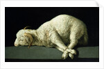 Agnus Dei, c.1635-40 by Francisco de Zurbaran