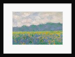 Field of Yellow Irises at Giverny, 1887 by Claude Monet