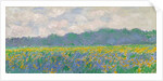 Field of Yellow Irises at Giverny, 1887 by Claude Monet