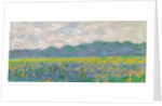 Field of Yellow Irises at Giverny, 1887 by Claude Monet