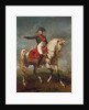 Napoleon on the field of Wagram, 1810 by Joseph Chabord