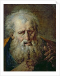 Head of an Old Man by French School