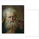 Head of an Old Man by French School