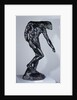 Shade, 1881 by Auguste Rodin