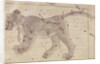 The Great Bear by Persian School