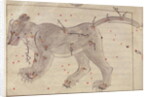 The Great Bear by Persian School
