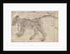 The Great Bear by Persian School