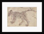 The Great Bear by Persian School