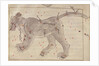 The Great Bear by Persian School