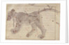 The Great Bear by Persian School