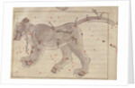 The Great Bear by Persian School