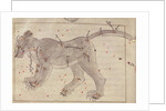 The Great Bear by Persian School