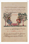 Making Lead, page from an Arabic edition of the treaty of Dioscorides, 'De Materia Medica', 1222 by Islamic School